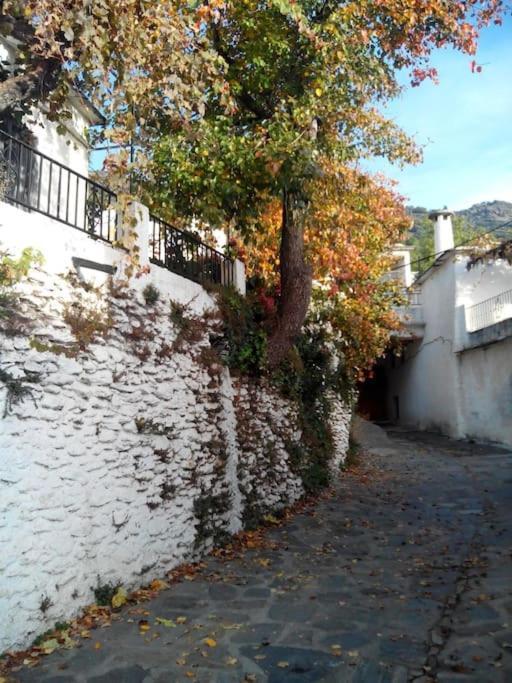 Casa Margarita Villa Bubión Exterior foto